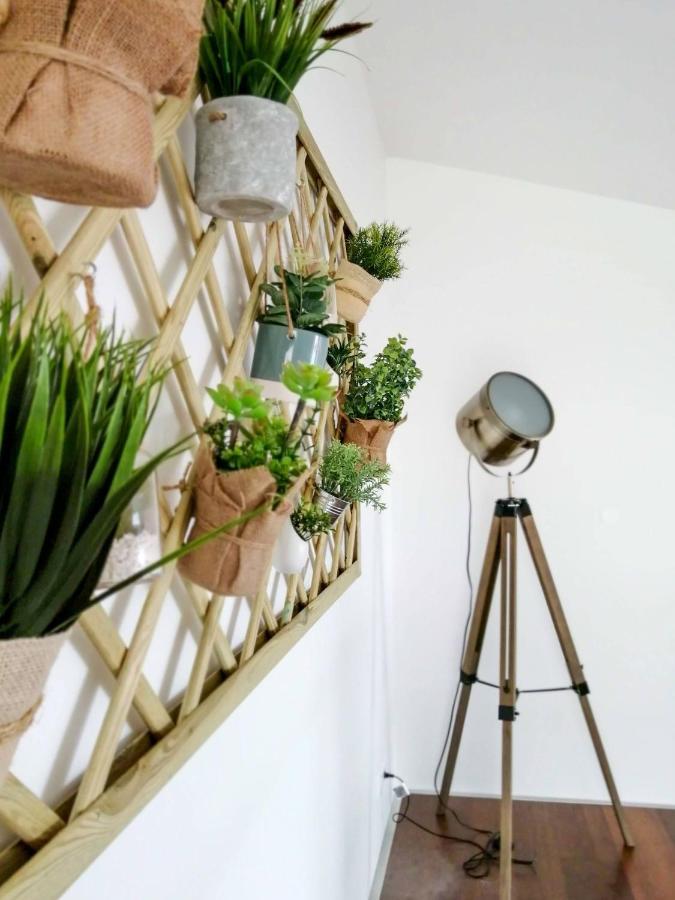 Ladeira Loft - Sea View In The City Center 蓬塔德尔加达 外观 照片